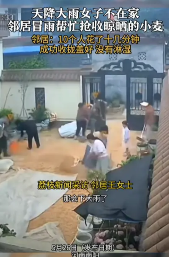 “这家邻居火了！”近日，河南南阳，一户村民家里没人在家，院子里晒了几百斤小麦眼看