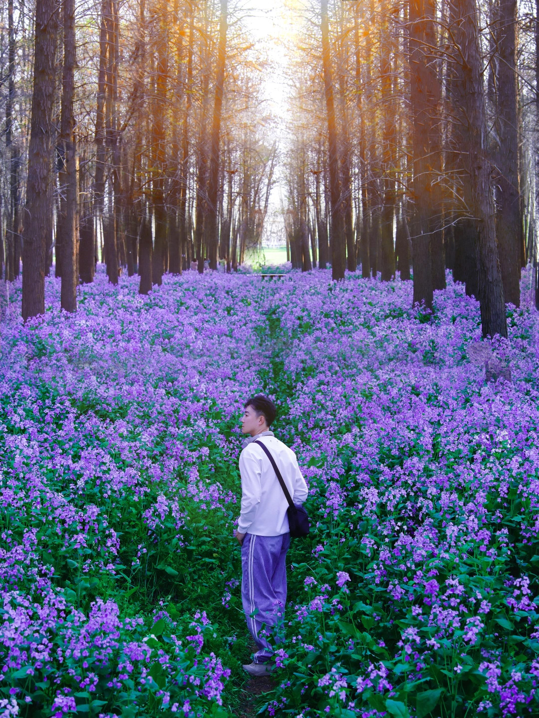 杀疯了！南京朋友带我去的紫色海洋！