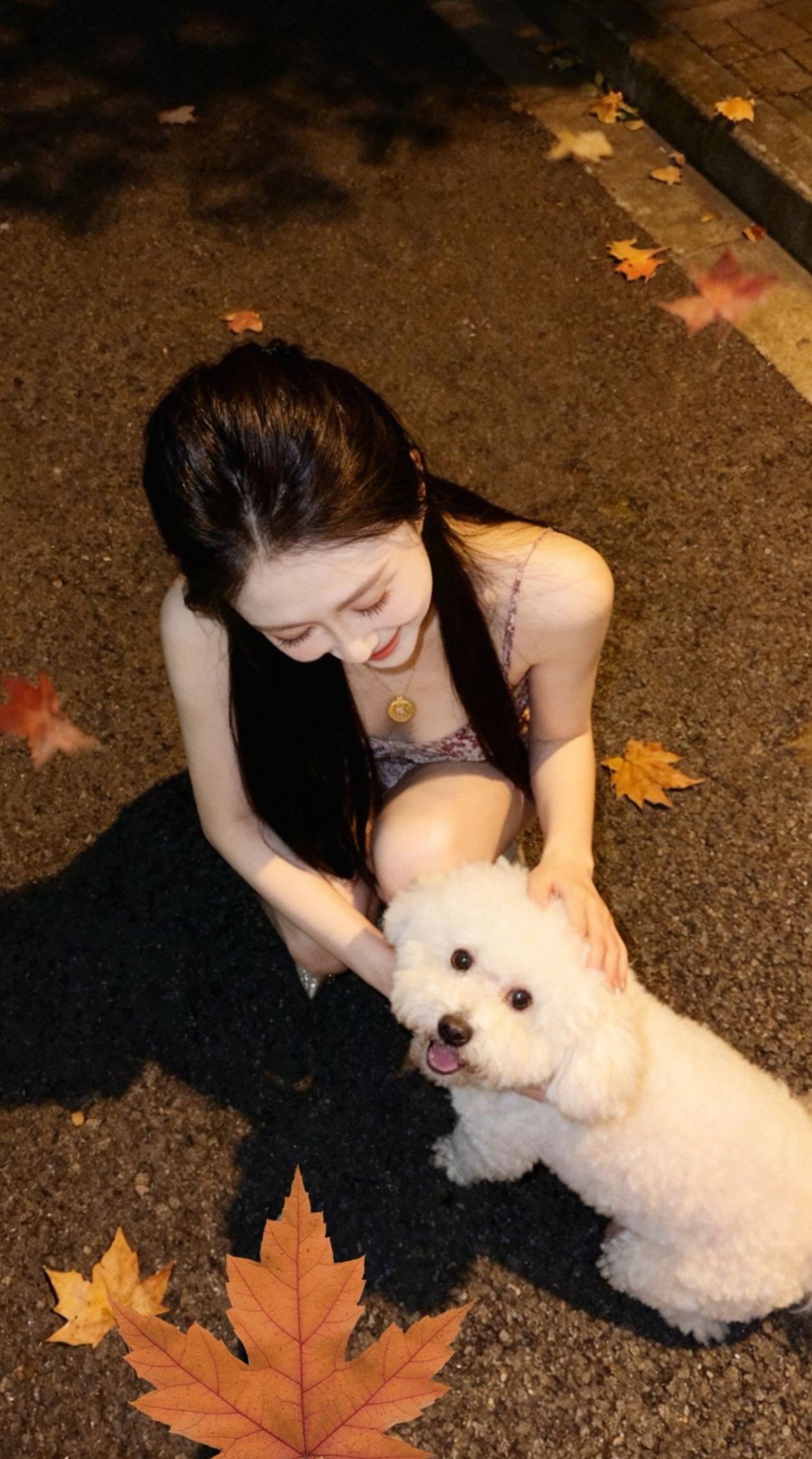 秋日暖阳下，与爱犬共度美好时光🍂🐾