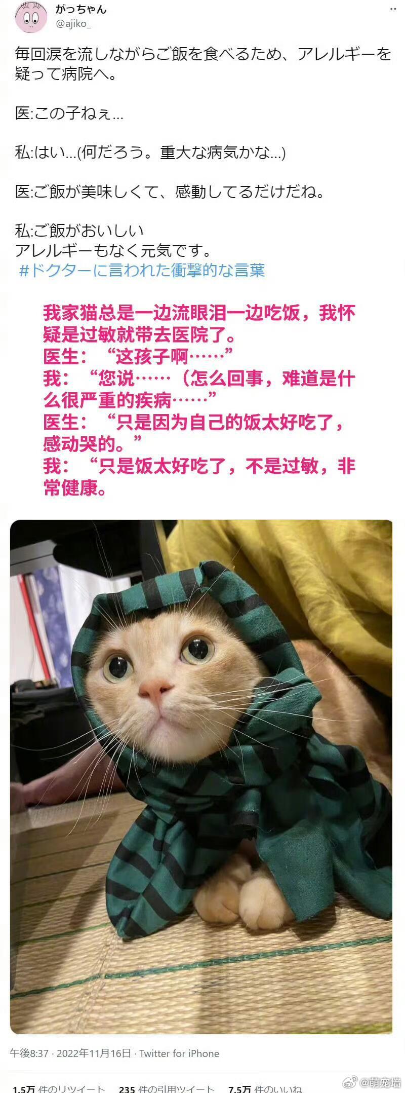 宠物医生的震撼发言