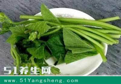 很多人都不知道, 有一种菜叶子, 能去结石、治胃痛, 可抵4副药!