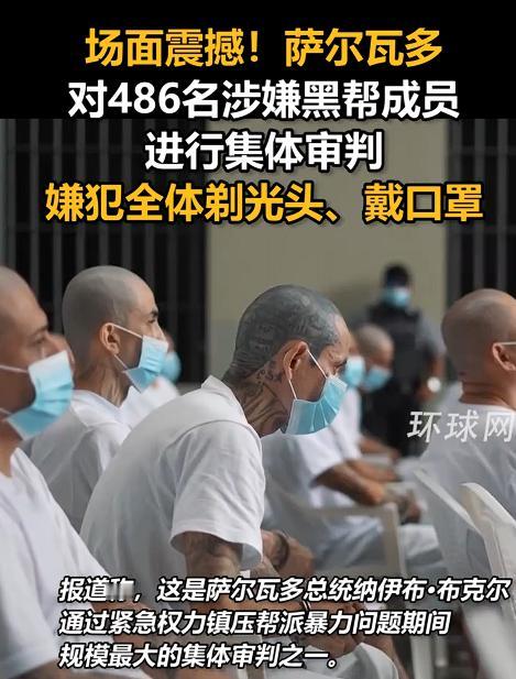 公审犯人见多了，但486名黑帮成员一起被押上法庭，这样的场面真的第一次见，清一色