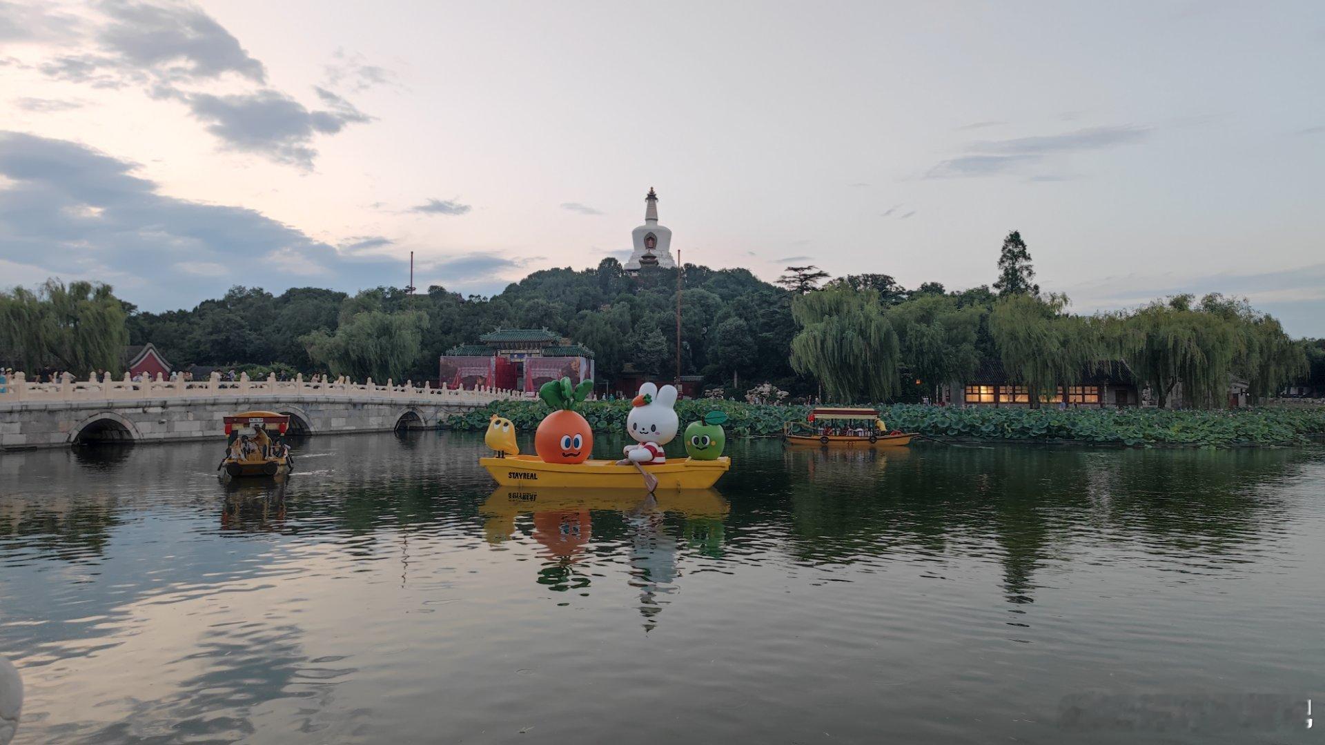 北京北海公园荷塘夜色摄影​​​