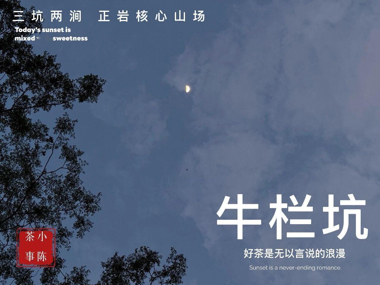 牛栏坑就那么大，为什么牛肉都卖不完？牛栏坑的面积有限，每年的茶叶产量大概在15