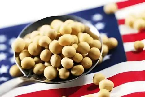 非洲喀麦隆的WTO会议上，中美贸易高官坐在一起，场面看着平和，没拍桌子、没吵