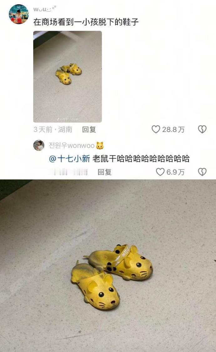 笑点低的真的看不了这些哈哈哈哈哈哈哈哈哈​​​