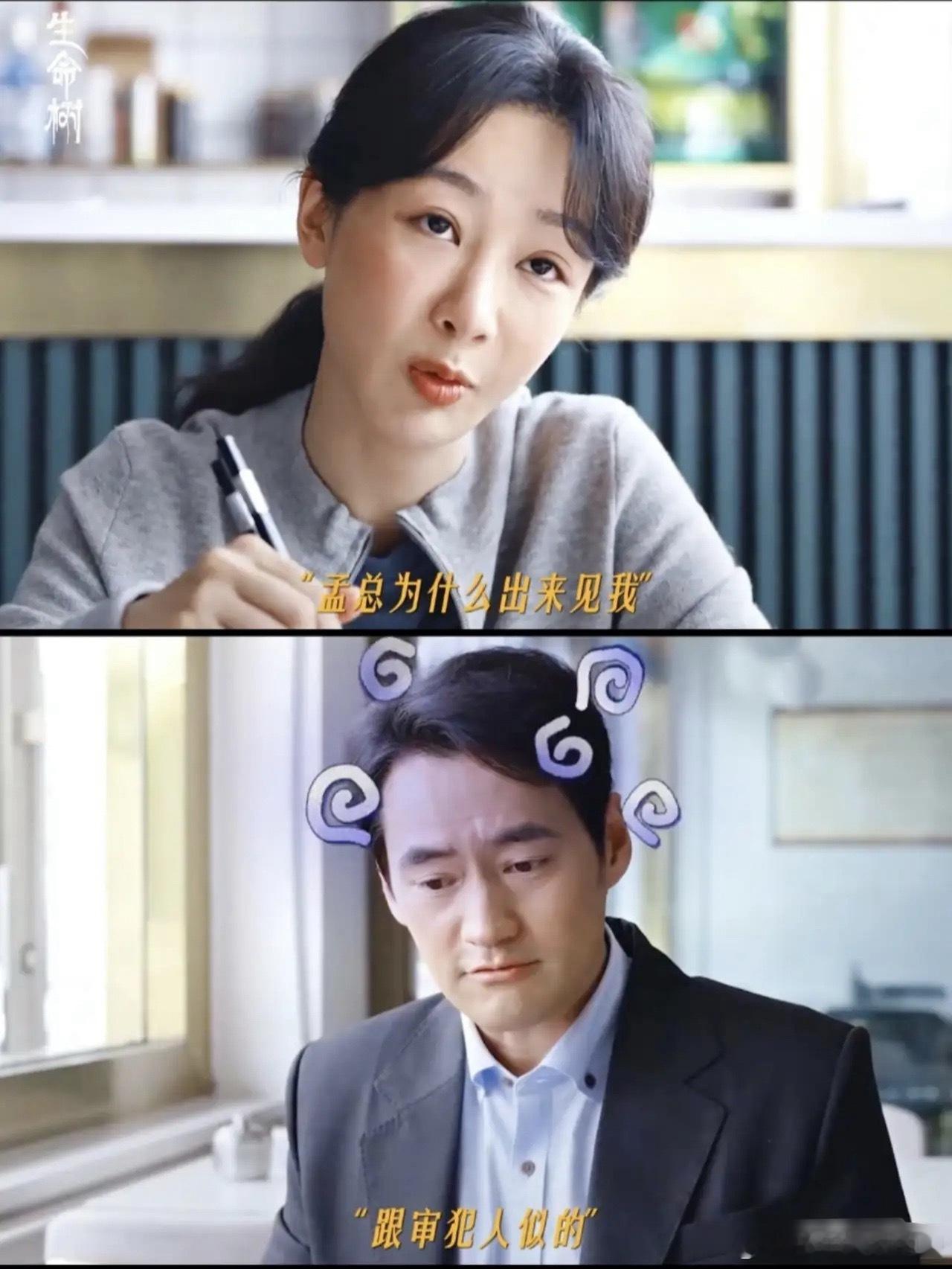 《生命树》白菊去相亲了！那年她40岁了，女儿也已经11岁了，相亲对象是她那个院长