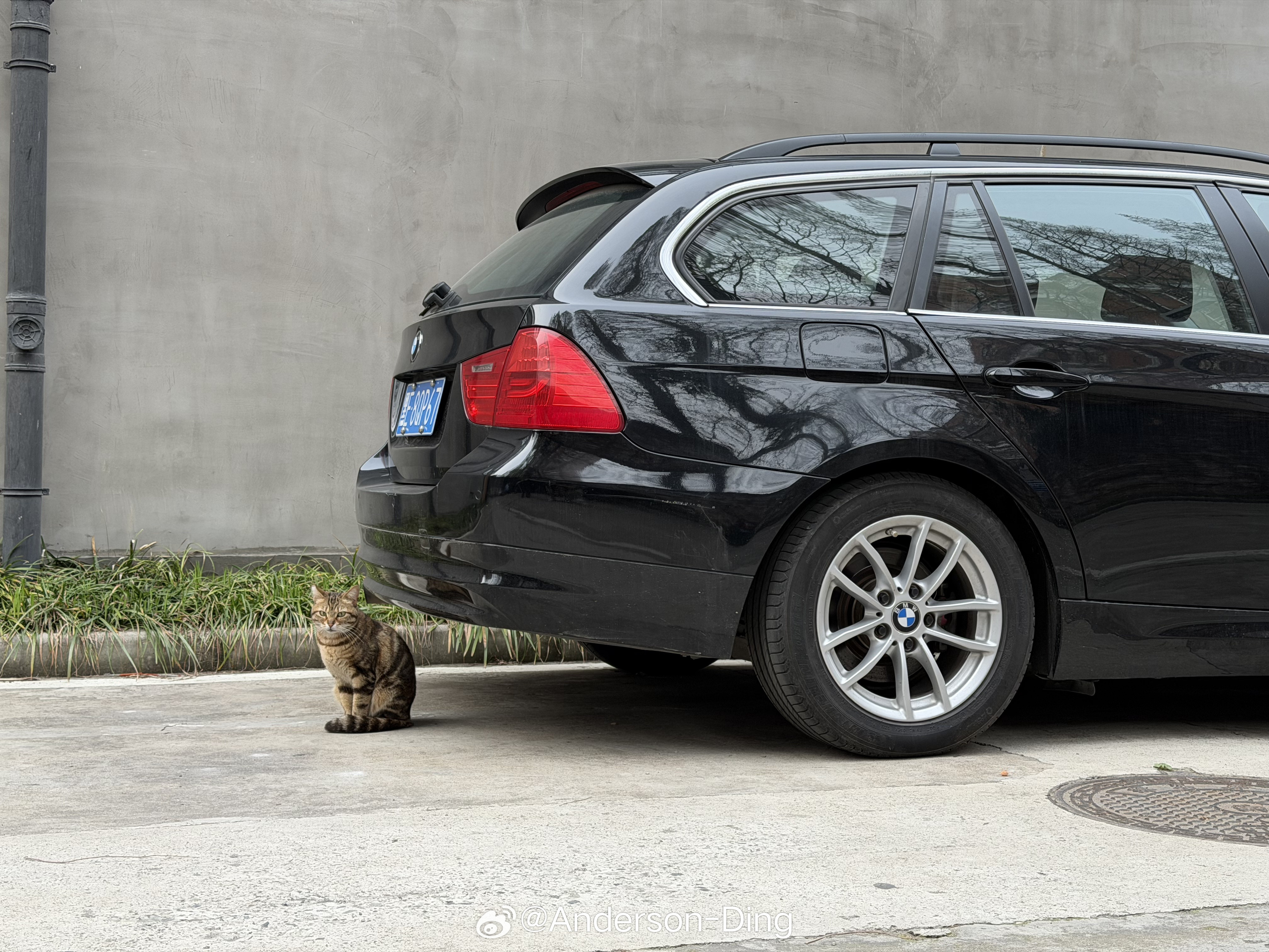 感谢318也有了跟可爱猫猫的合影