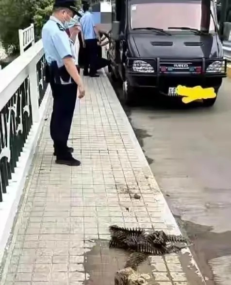 这是钓到啥了？警察都来了。