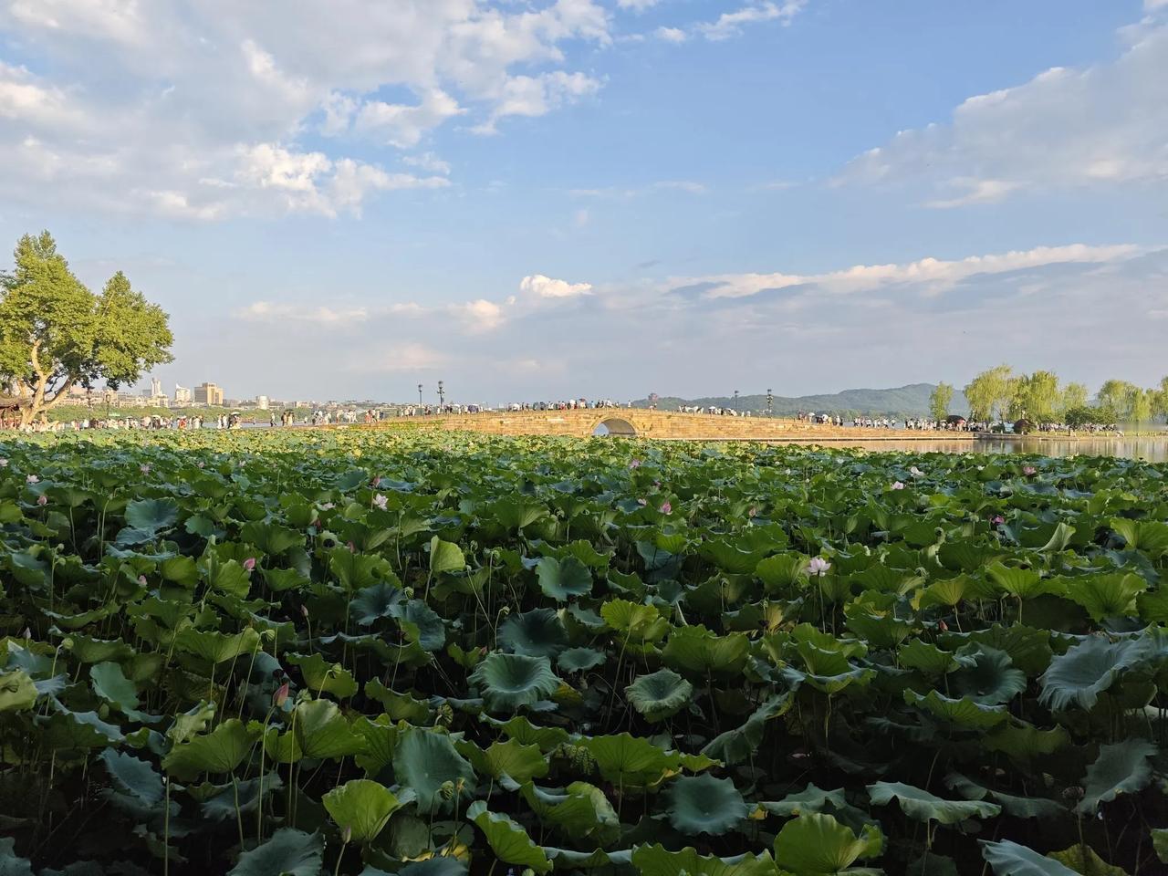 断桥是杭州西湖白堤上最著名的景点之一，无论春夏秋冬还是酷暑严寒断桥上都是人潮涌动