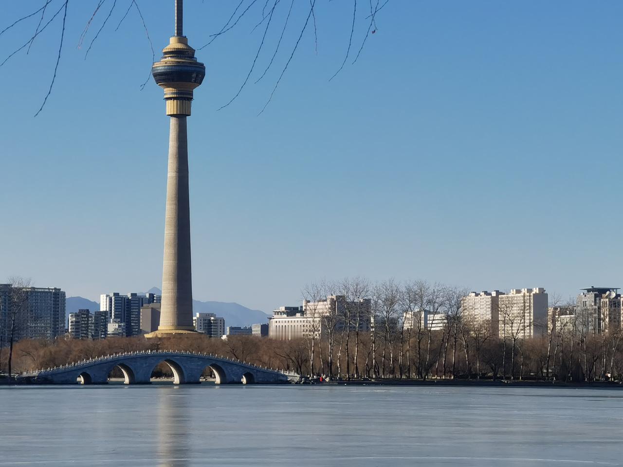 湖畔边远远看过电视塔，拍了几张照片，路过一个小桥边，偶见几处残荷，几处红红浆果也