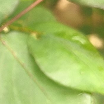 正能量心中常驻美好希冀，眼里盛满璀璨繁星，朝着光的方向步步前行，身披星光、心沐暖