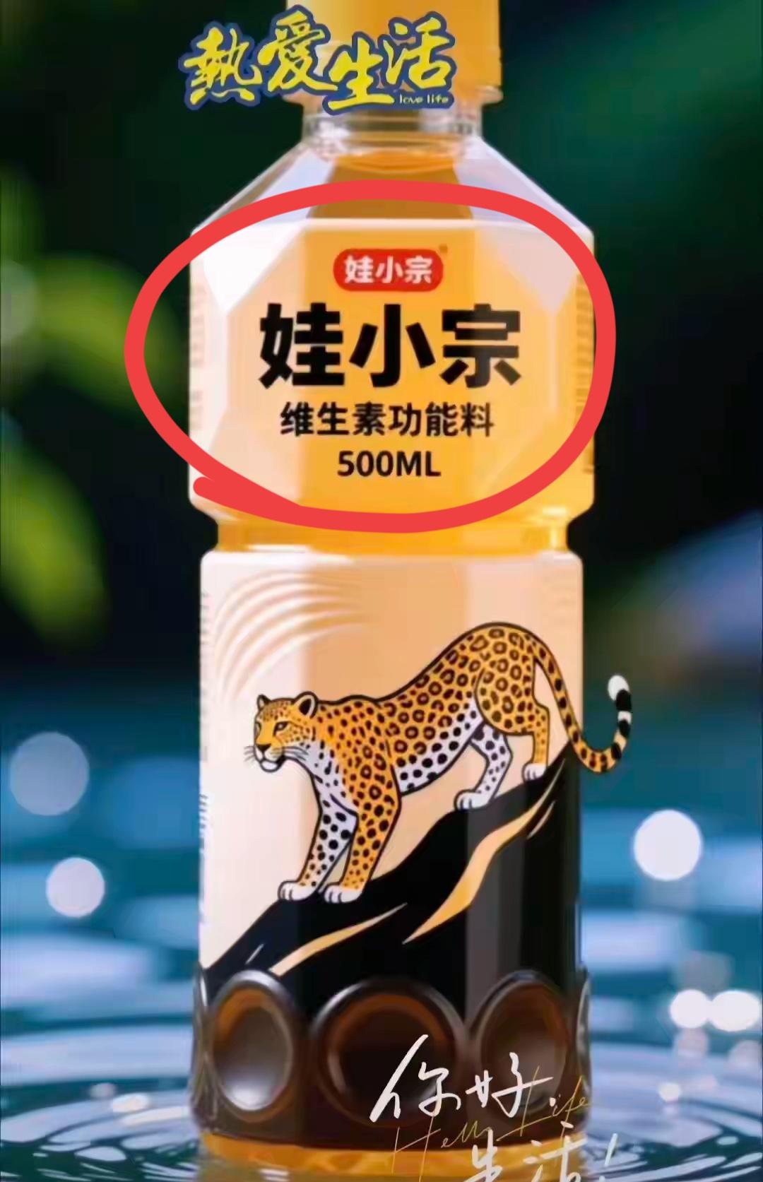 娃小宗这个名字如何？我看到网上很多人都认为这个名字一般，主要是说，宗馥莉取的这