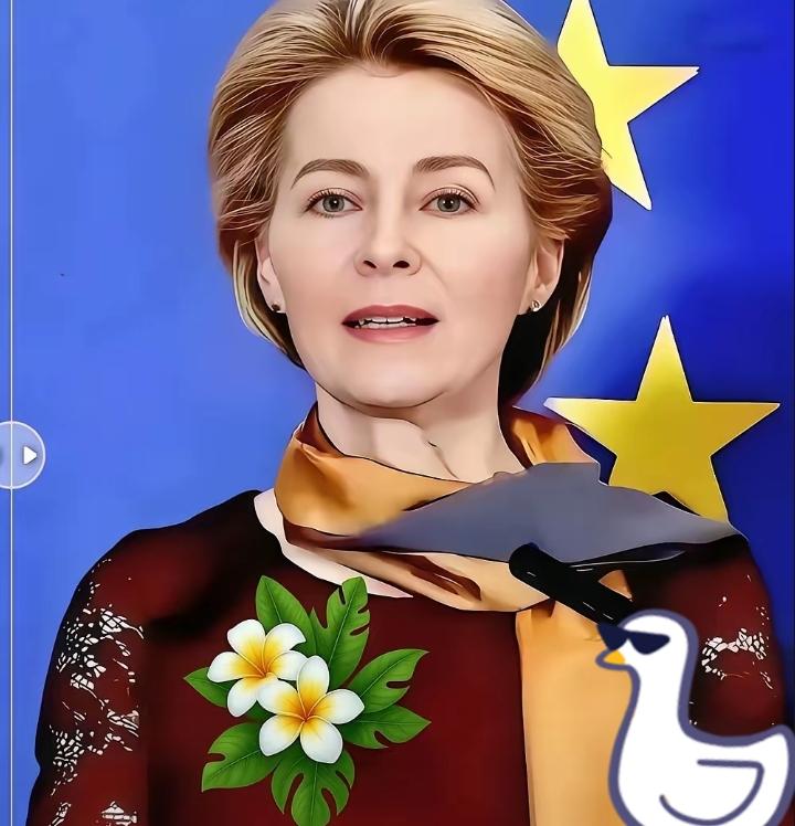 就在刚刚欧盟又出大招，要给东方大国和美国抢不到的话语权！欧盟委员会主席乌