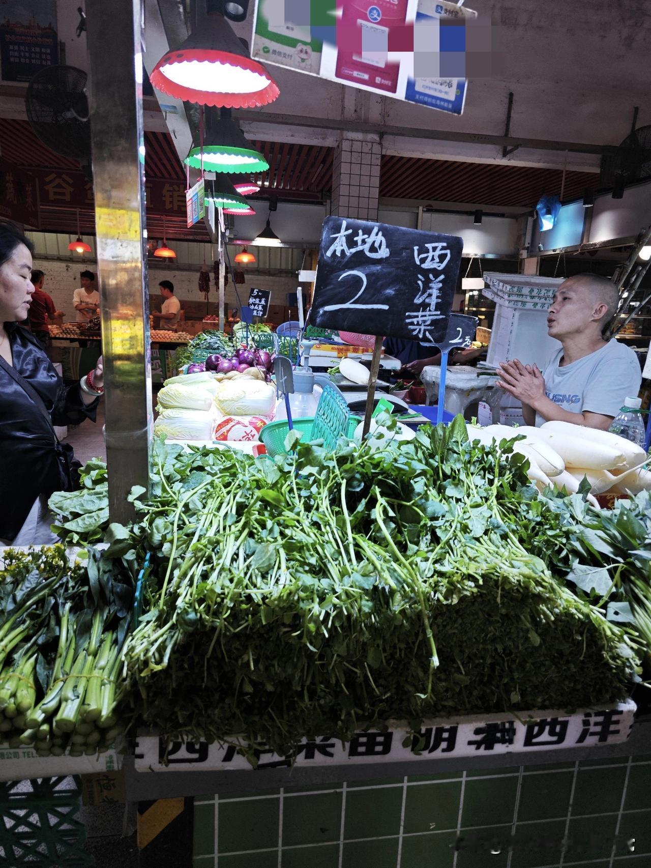 西洋菜从贵族菜跌成白菜价，2块钱能炒一大盘！逛菜市场直接看愣了——之前喊着