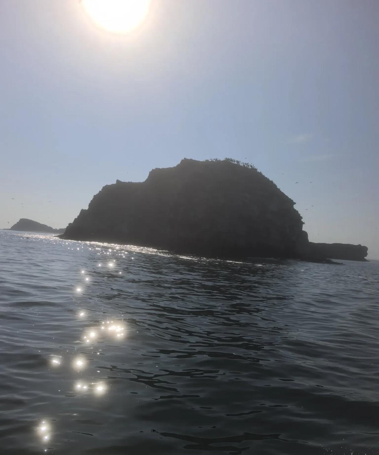 在广鹿岛有很多海鲜可吃，还可以去海边赶海，说有很多海货能采到，明天早晨就去海边，