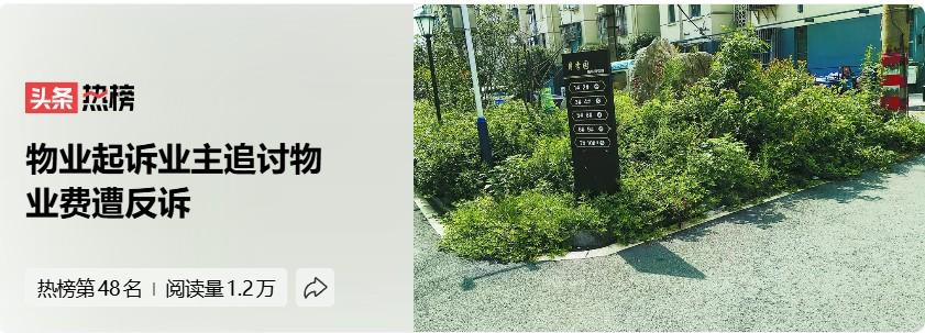 法院的这个判决，还是让业主一方吃了大亏，而开发商和物业公司完全占了便宜。长沙一市