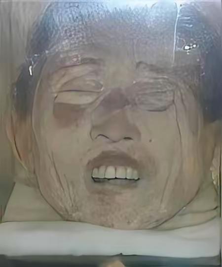 百年漂泊，陈翰章的头颅终归故土！空荡的眼窝曾怒对豺狼，被割的舌根永守家国机密，