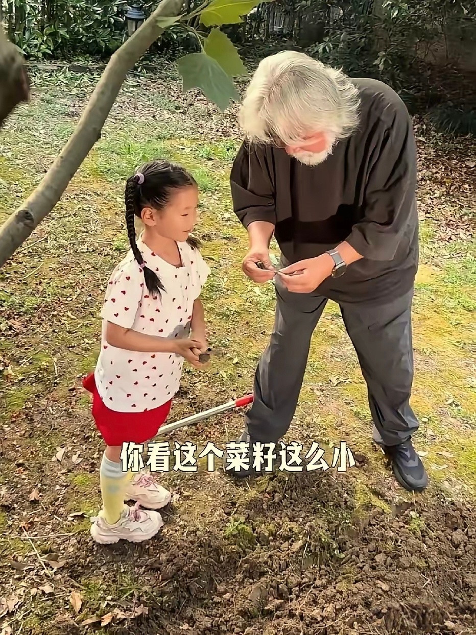 张纪中导演带小女儿在自家小院种菜，这个画面看着真暖。能在院子里陪着孩子慢慢长大，