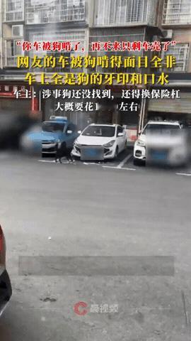 “解释不清了！”湖南吉首，女子正睡觉呢，突然接到陌生来电，电话那头一个大哥语气挺
