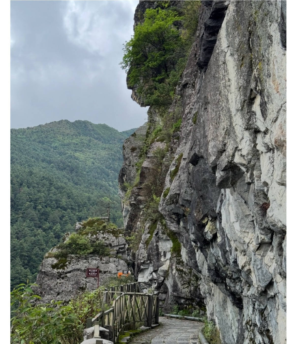 男子在大理苍山疑自缢身亡看到大理苍山那个二十余岁男生的事，心里揪得慌。新闻里说