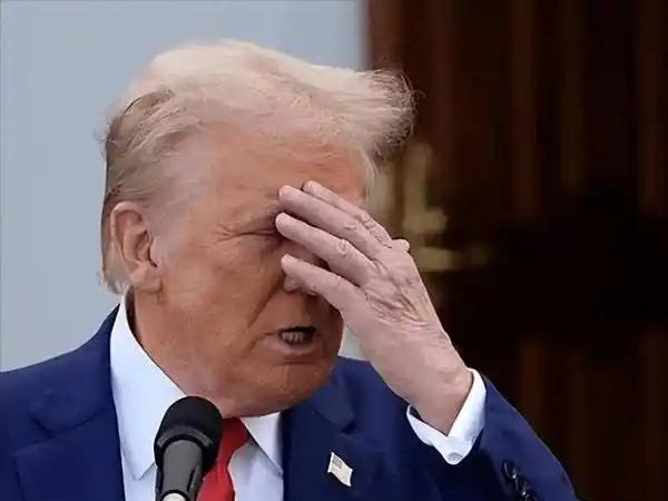 特朗普终于怂了。据美媒CNBC报道，11月5日在全美多场州长级大选中，民主党一