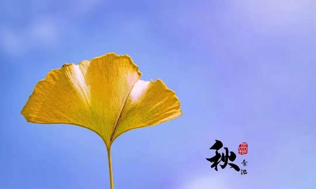 今天立秋了！你信吗？这“秋”立得让人有些茫然，甚至有些离奇，荒唐，让人难以置信。