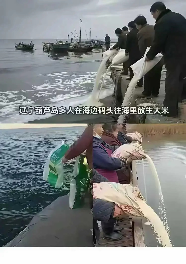 人果然不能吃太饱了，建议把他们的退休金停了吧！