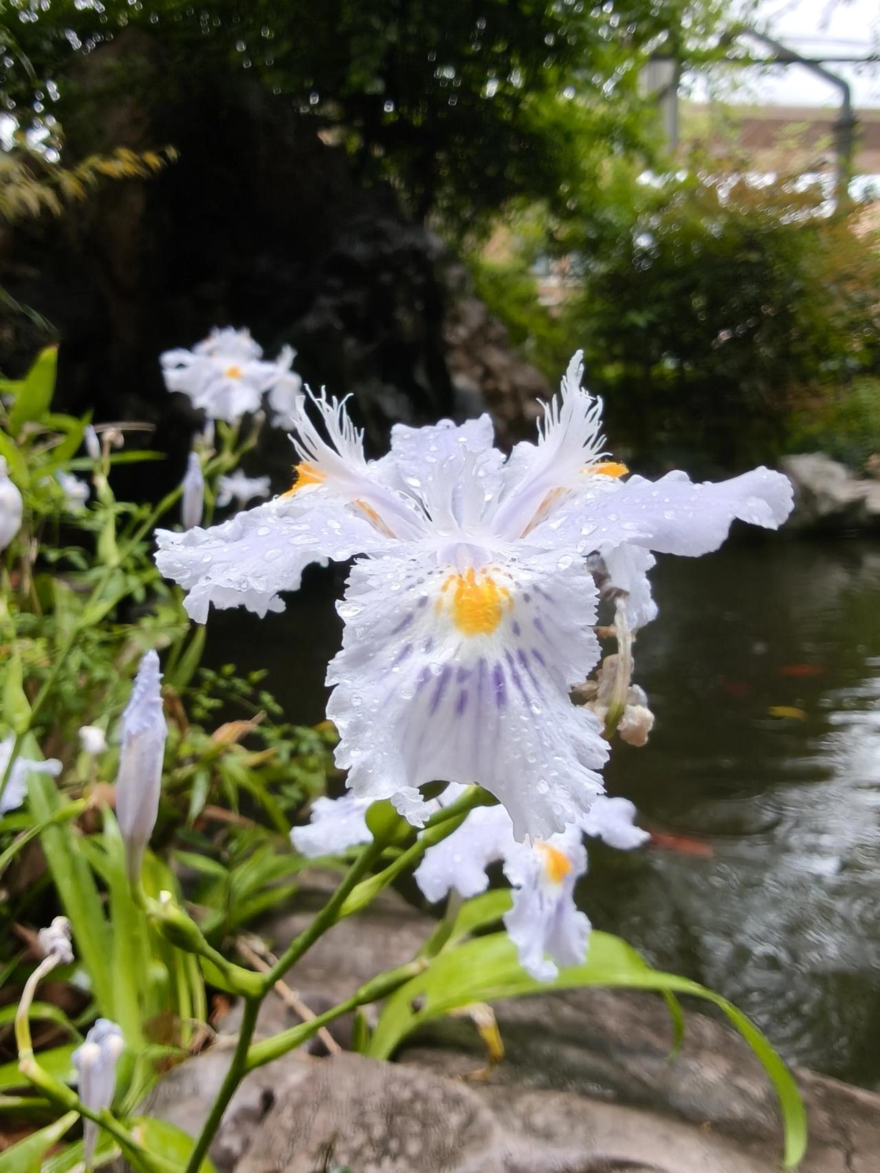 ​春光，与你，与我，一起走向春深处行走在自然里，看花开听鸟鸣，才知平凡时光里