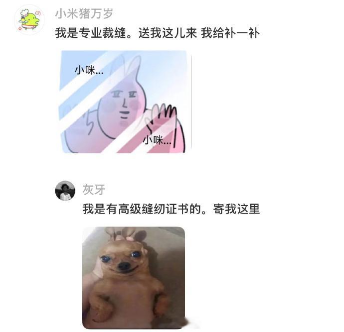 小猫开线了怎么办