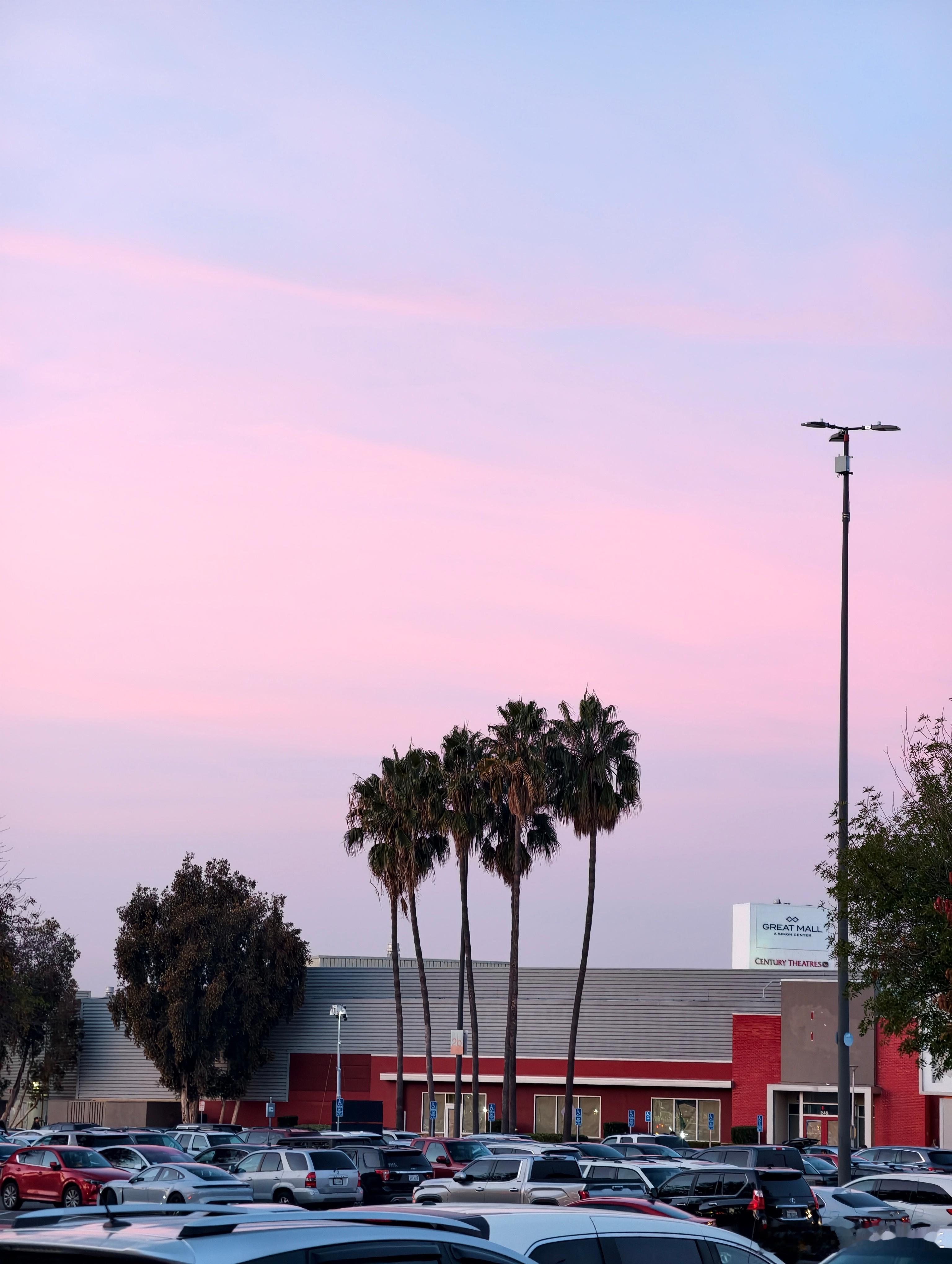 今天是在美国的最后一天吃点美式中餐味道还凑合但还是觉得跟国内没法比