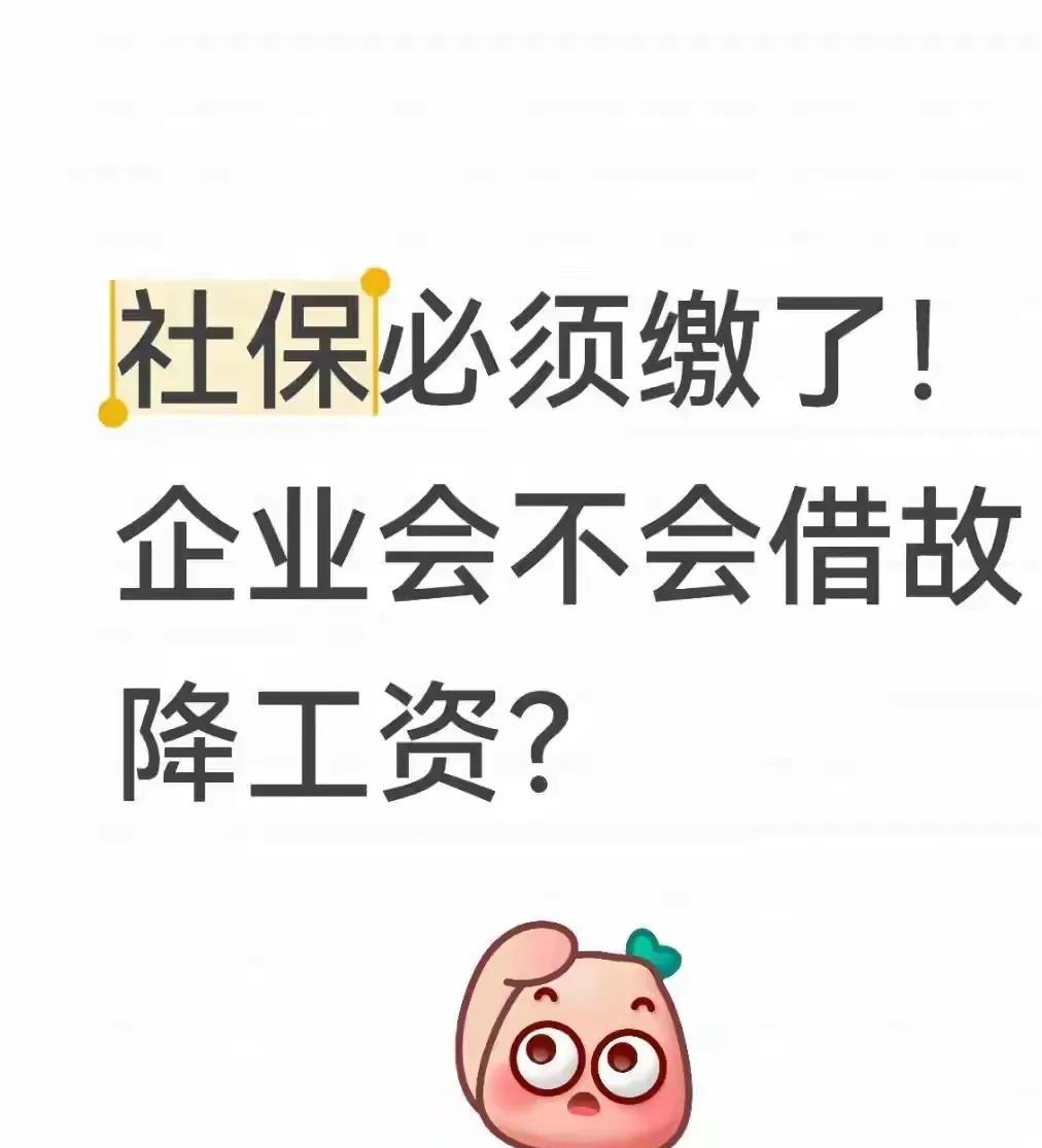 社保必须缴了！是十分正确的！因为社会必须走正轨性的发展道路！但是必须缴社保，也有