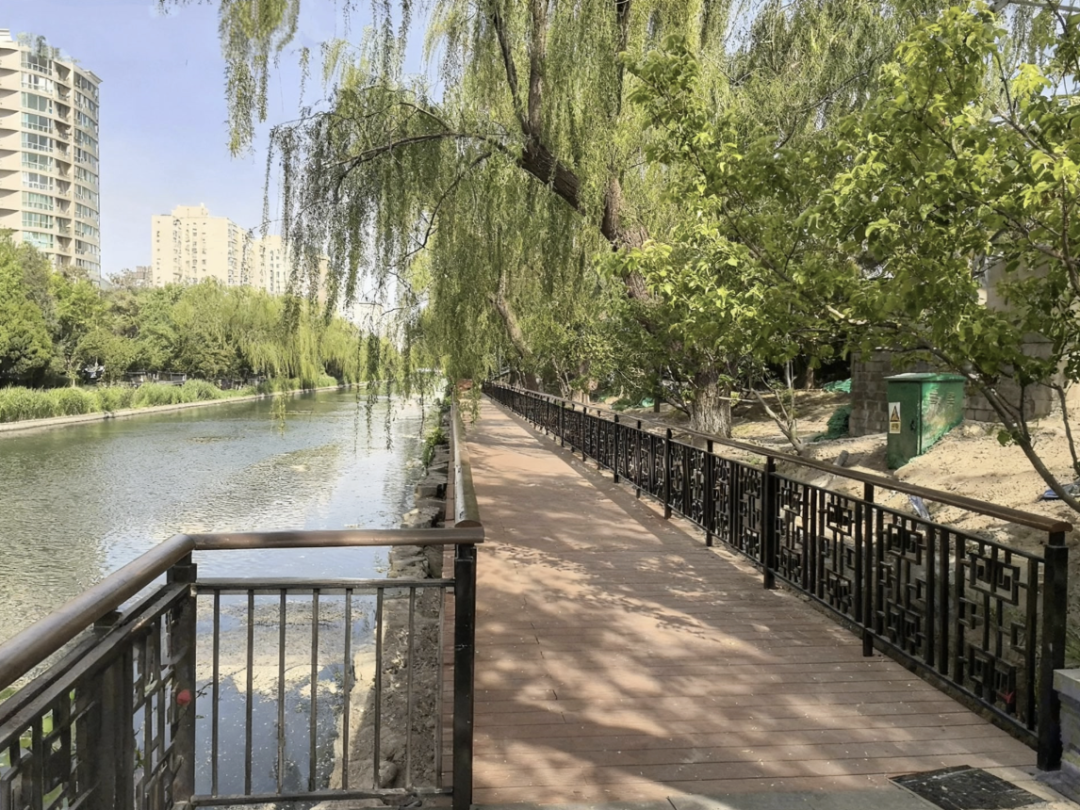 不止积水潭桥下! 北京环二环8处滨水点位焕新升级