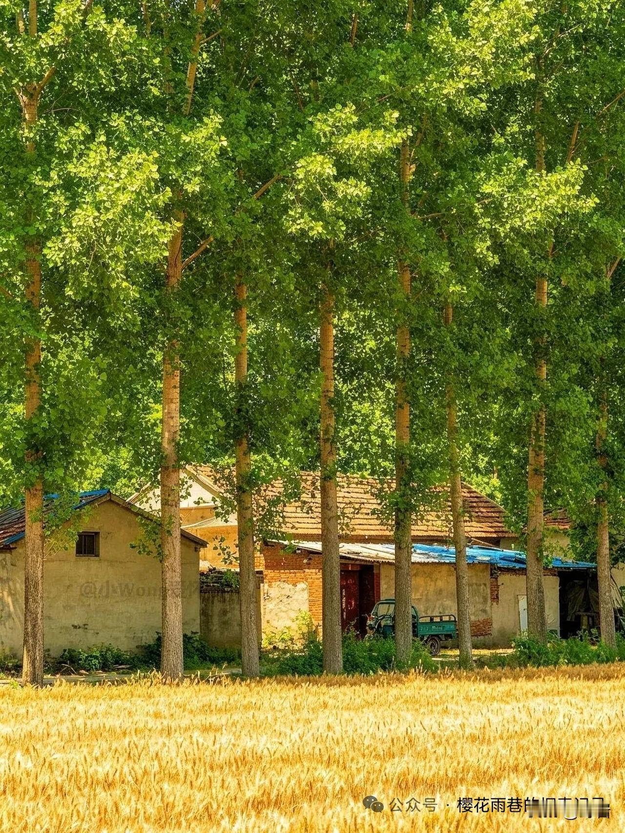 做人的10个底线，守住了，日子才会顺风顺水✨1、别拿健康换生计。身体是一