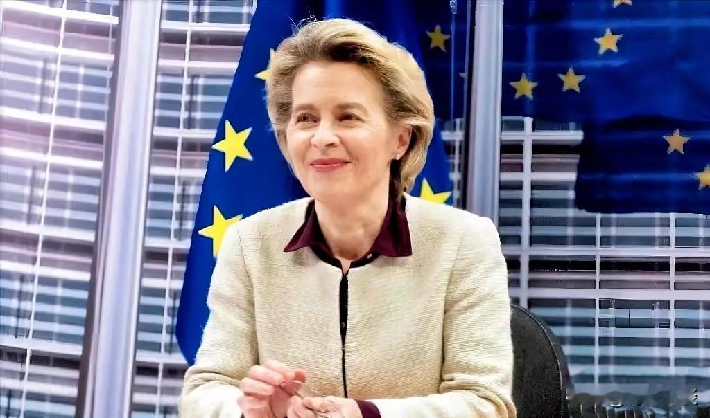 欧盟的脸是真的大啊！欧盟坐不住了，在12月30日这一天，英法德还有欧盟集体表