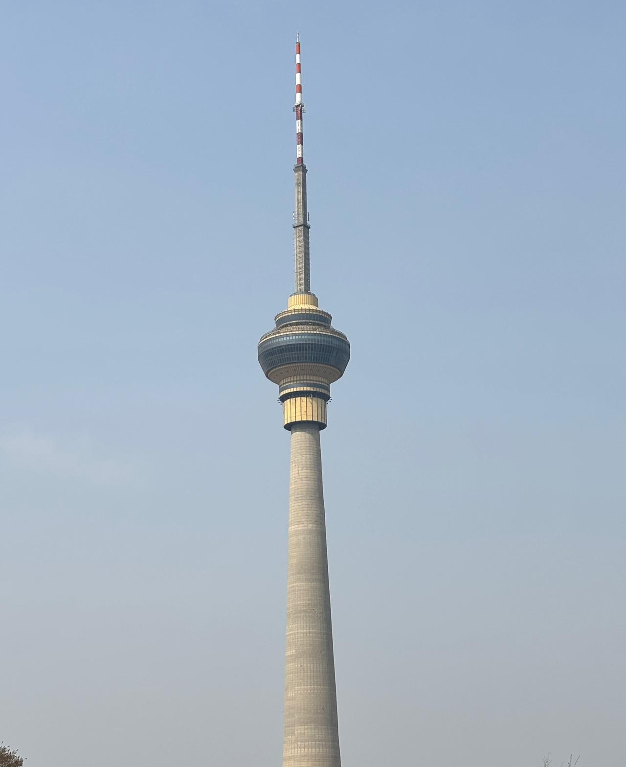 昨天被我的两个同事笑死了。其中同事老家农村的，过年回家，他4岁的侄子，把羊屎