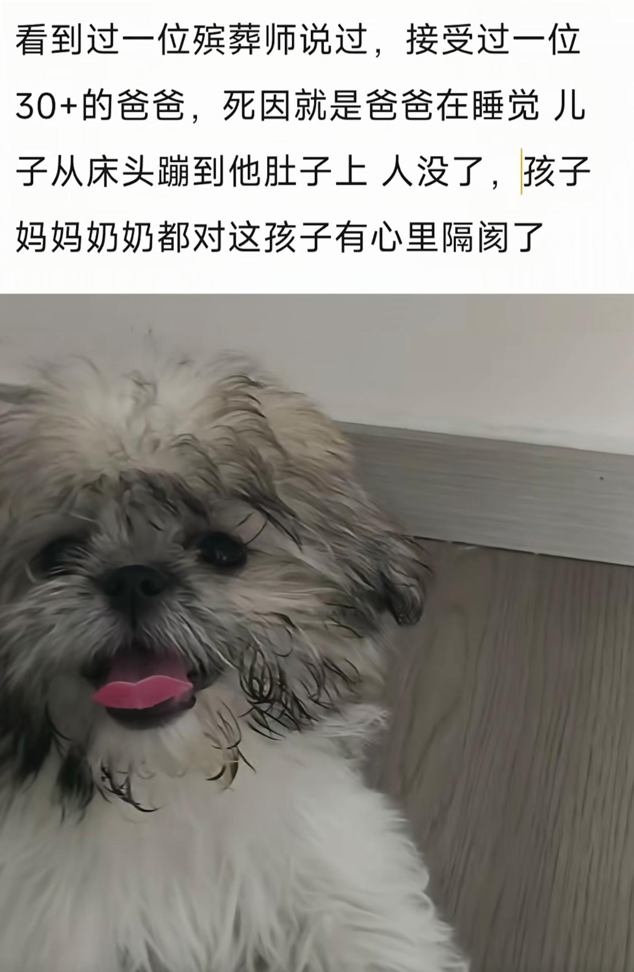 我表弟在沙发上躺着，被他四岁的儿子直接蹦到肚子上踩烂了一个脾，做了大手术切除了一