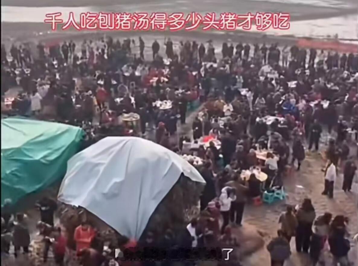 重庆合川这事，真是让人哭笑不得又觉得有点暖。起因特别简单，一个网名叫“呆呆”