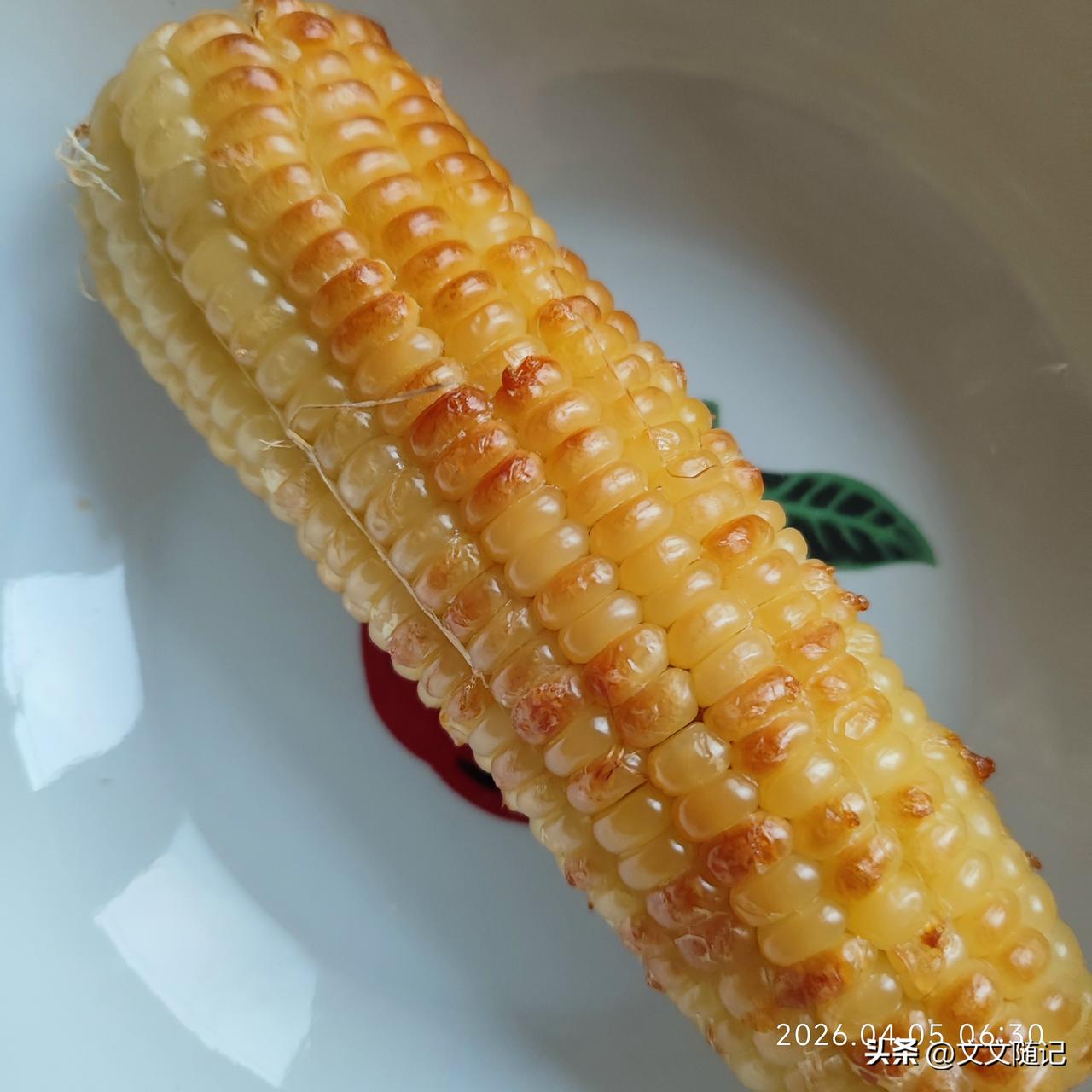 55岁退休女子月薪3000元，养狗养猫，拒绝社交，却活成了所有人羡慕的样子退