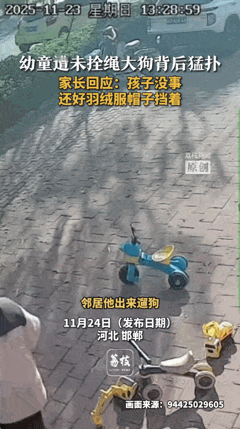 “不幸中的万幸！”11月23日，河北邯郸，2岁孩子在店门口玩耍时，邻居家未拴绳的