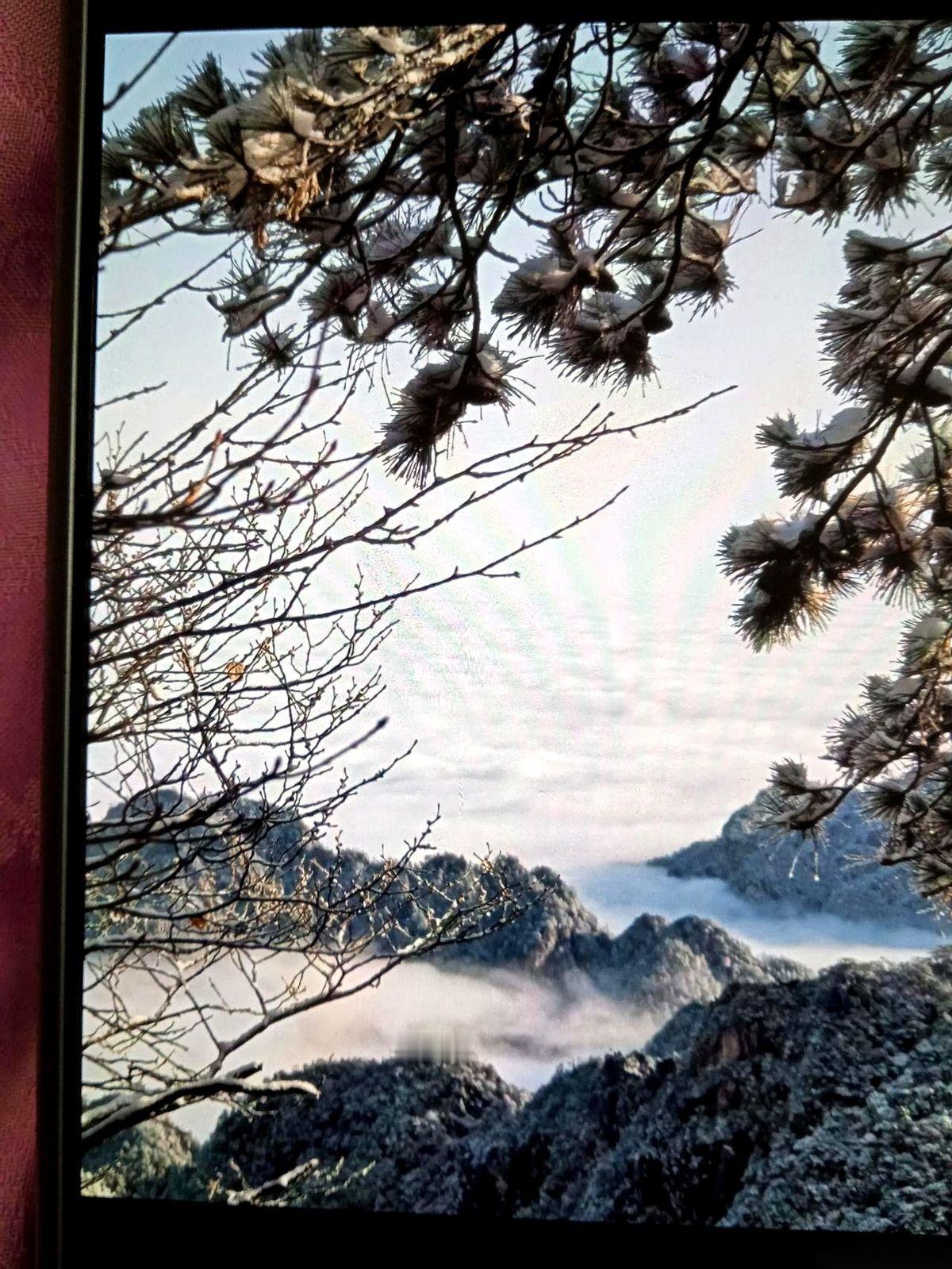 饭桌上就剩最后一块排骨，女婿刚伸筷子，丈母娘“啪”一下，抢先夹走，直接扔进了旁边