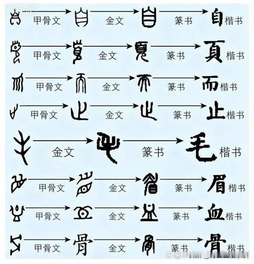 什么是甲骨文？商朝前期，人们把字刻在龟甲骨头上面，这就是甲骨文。拿刀刻出来文字