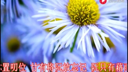雨水我问你简谱_雨水我问你古筝简谱(3)