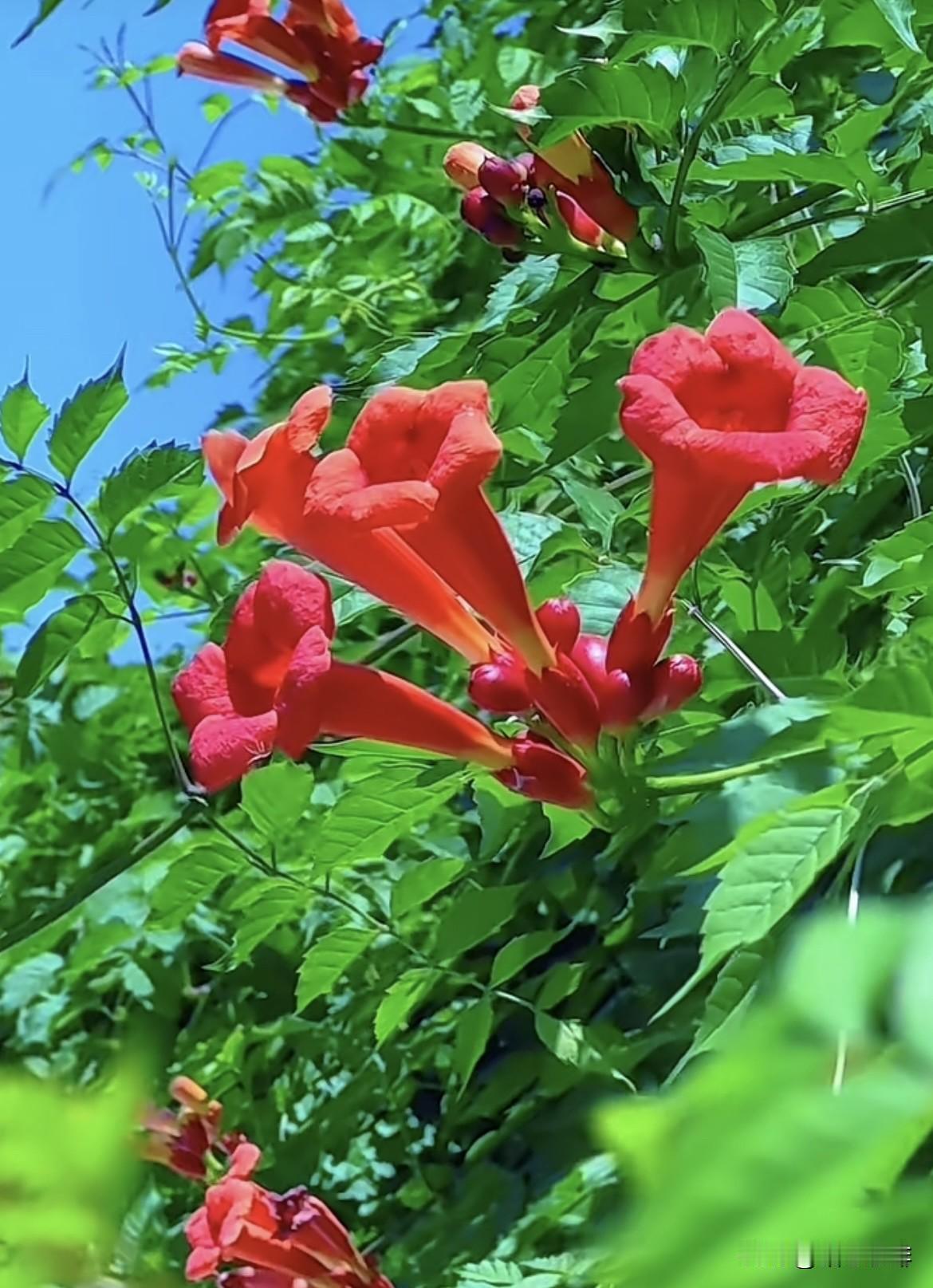 生活其实很简单，看透是一种领悟，看淡是一种轻松，看开是一种快乐，想多了都是问