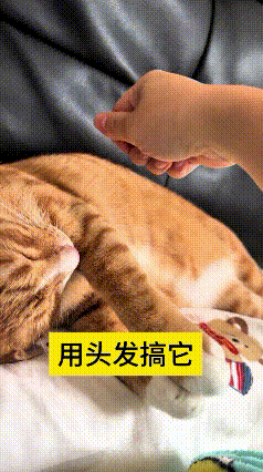 这视频我反反复复看了好几遍，又好玩又暖心。小猫安安稳稳睡得正香，主人闲着没事，