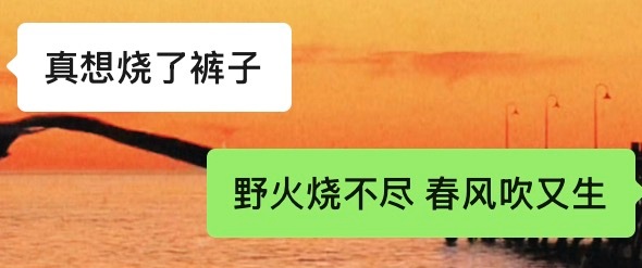 何为各有千秋