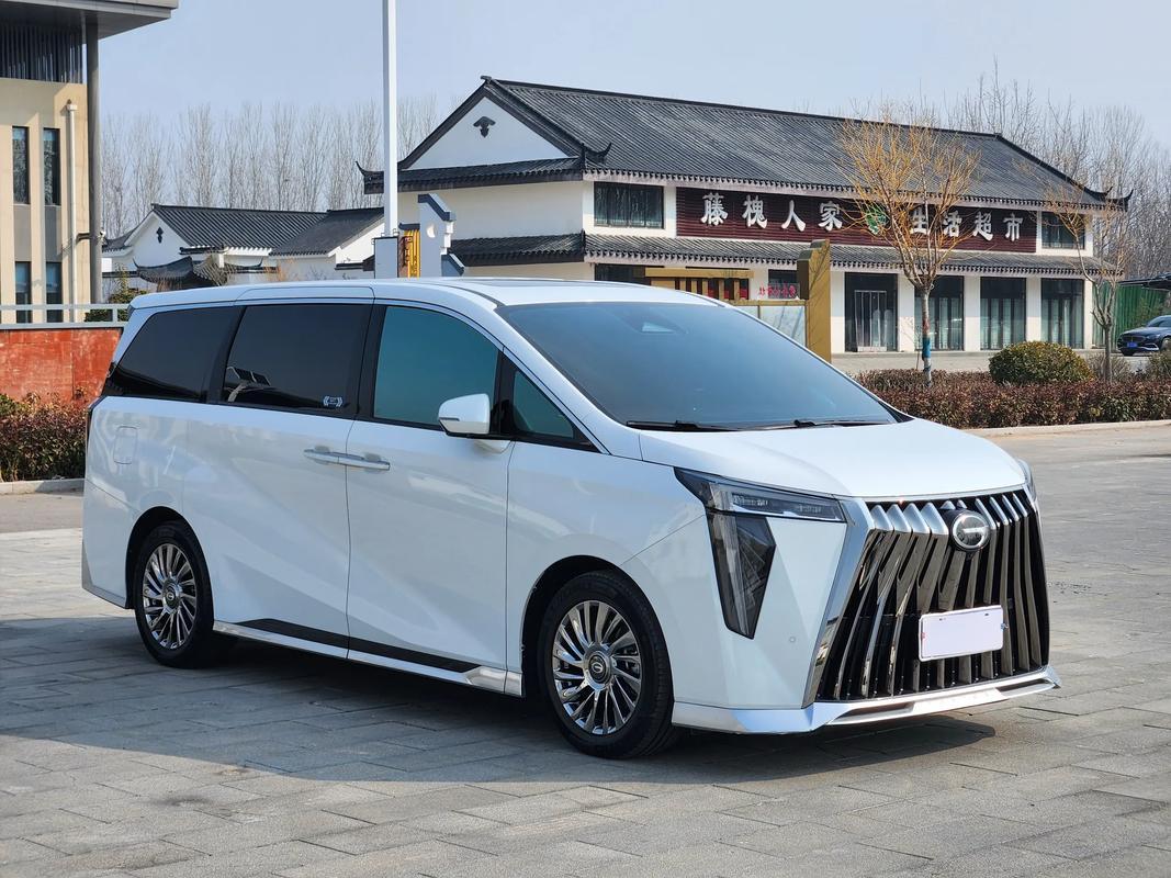 伤害性不大，侮辱性极强！小李提了传祺向往宗师，朋友坐过一次就集体吐槽：“同是20