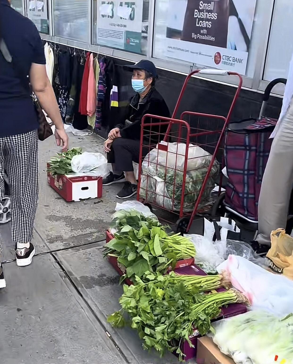 这是纽约法拉盛，你信吗？那边屋前屋后不允许种菜，种菜邻居立马举报，只能养花。这
