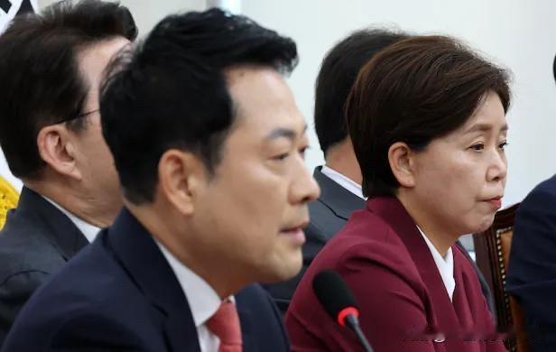 6月15日，韩国国民力量党党内矛盾彻底爆发，继禹宰俊之后，最高委员梁香子公开要求