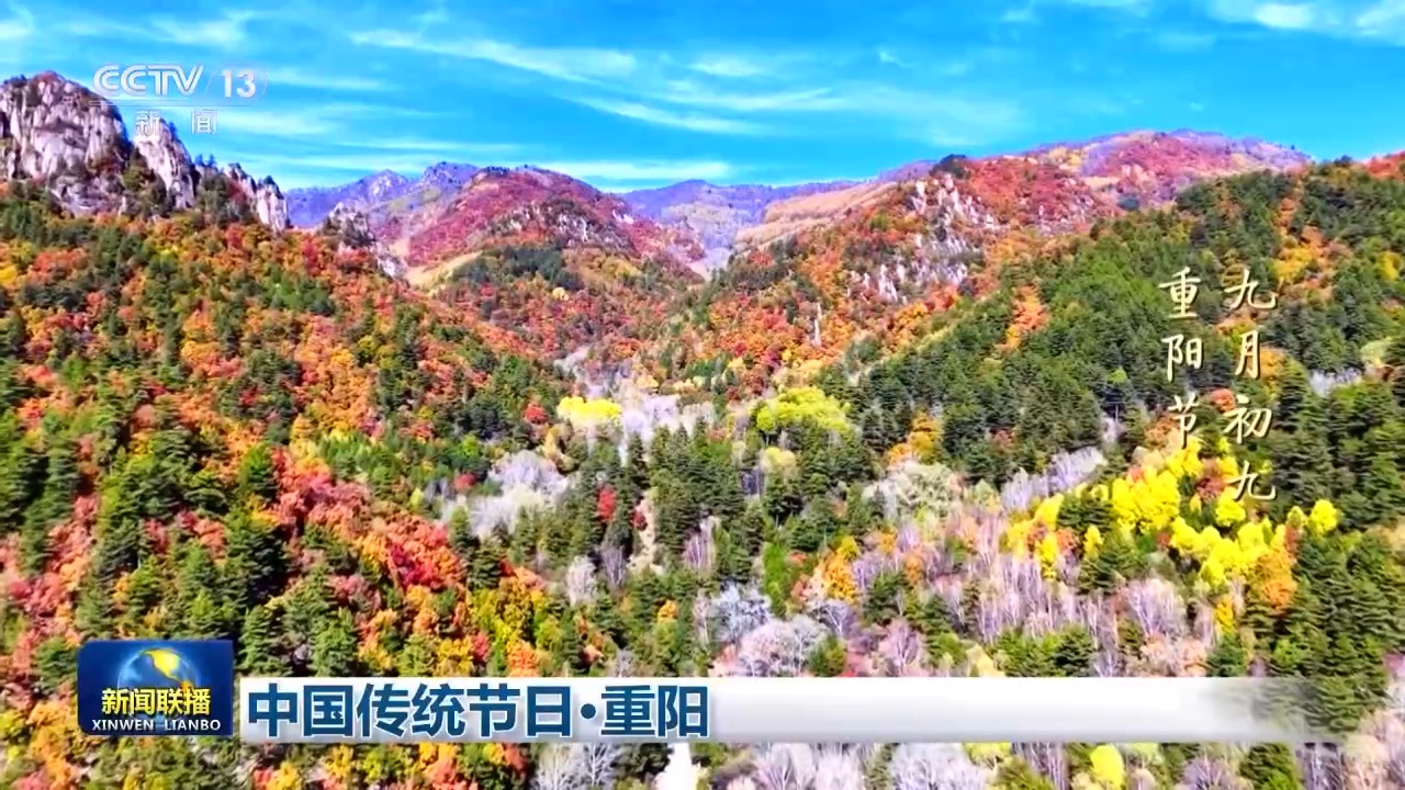 视频丨九九重阳 久久情长